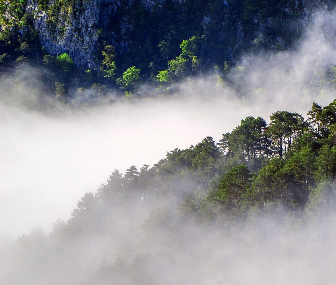 The Rain of the Amazon: An Invisible Treasure for the Economy